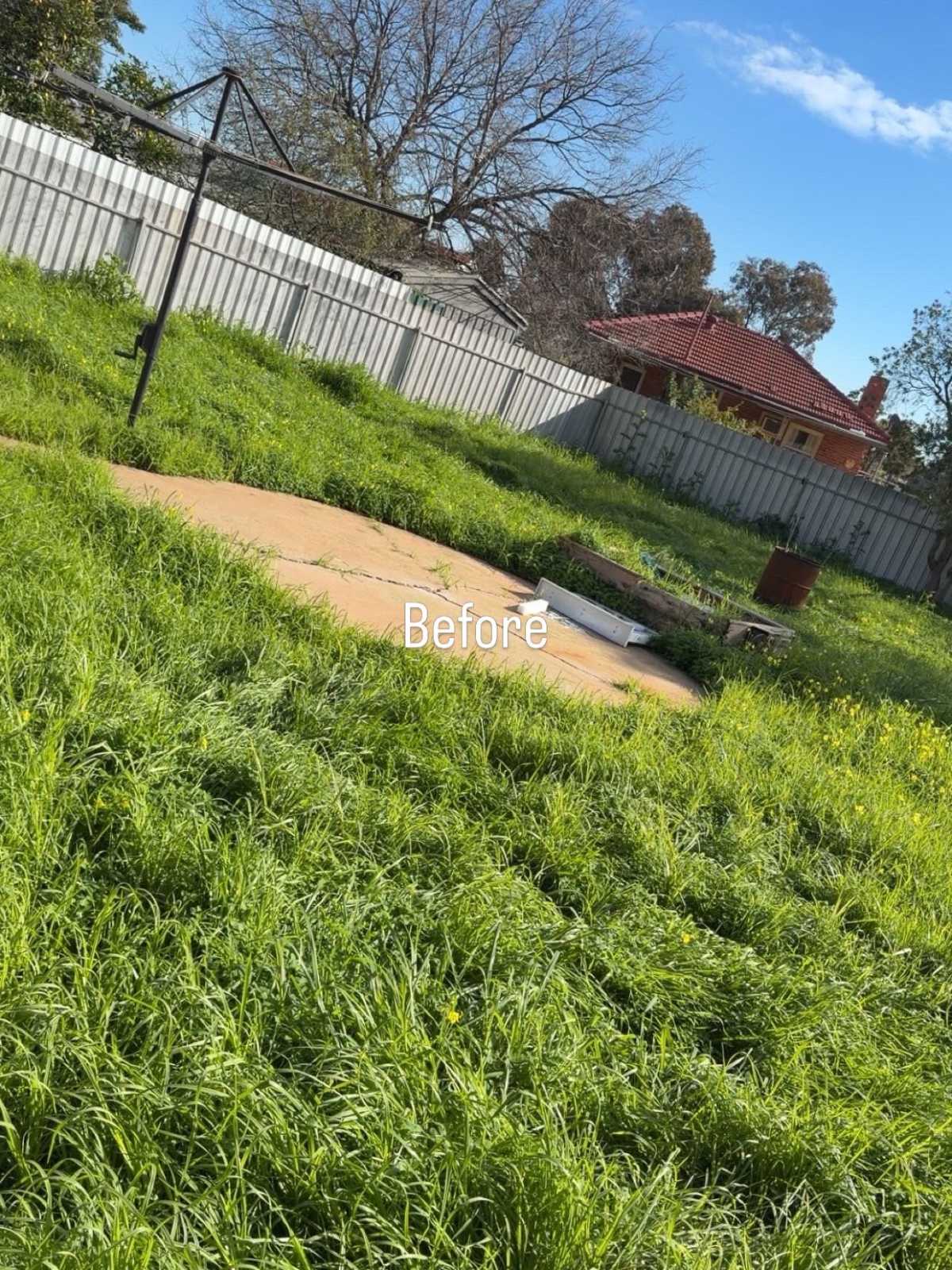 Before Image
